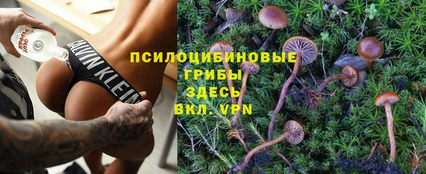 мдпв Володарск